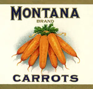 Vegtable: Carrot Label