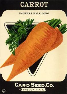 Carrot: Carrot Seed Packet