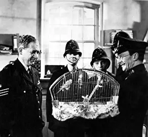 Budgie: Carry On Constable (1960)