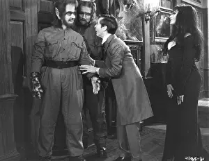 Amalgamated: CARRY ON SCREAMING