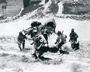 Cradle: Carrying the wounded by camel, Palestine, WW1