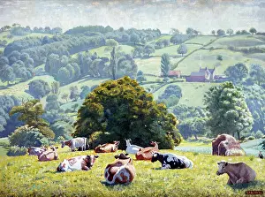 Bliss: Carsons Cows ' landscape with cattle