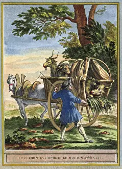 Harnessed: Cart of Animals