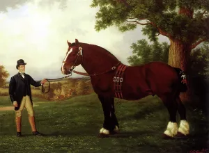 Equines: Cart Stallion and Owner