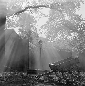 Filtering: Cart in sunlight