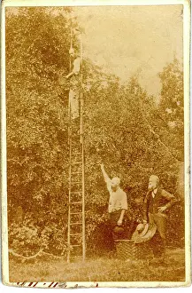Orchard: Carte de Visite - Fruit Picking