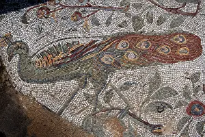 Romaines: Carthage