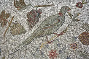 Romaines: Carthage