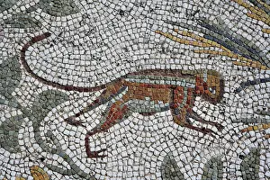 Romaines: Carthage