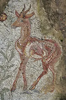 Romaines: Carthage