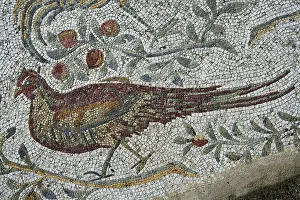 Romaines: Carthage