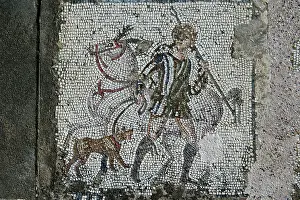 Aviary: Carthage