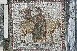 Aviary: Carthage