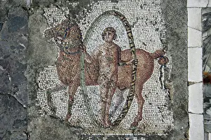 Aviary: Carthage