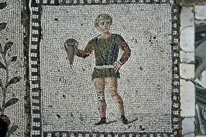 Aviary: Carthage