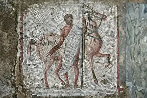 Aviary: Carthage