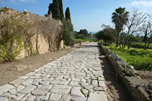 Aviary: Carthage