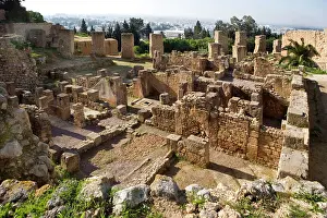 Colline: Carthage