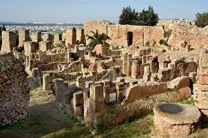 Colline: Carthage