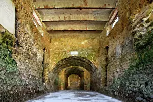 Felicitas: Carthage