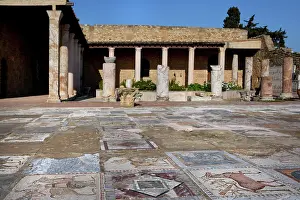 Aviary: Carthage