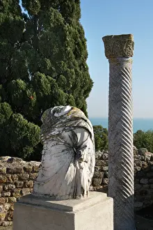 Aviary: Carthage