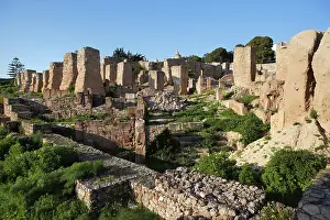 Colline: Carthage