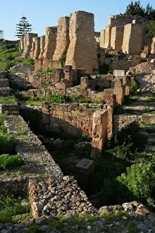 Colline: Carthage