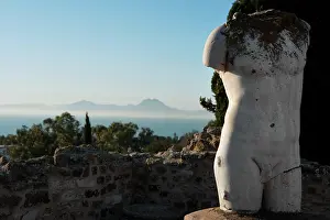 Aviary: Carthage