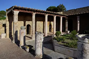 Aviary: Carthage