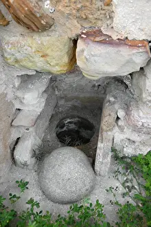 Aviary: Carthage