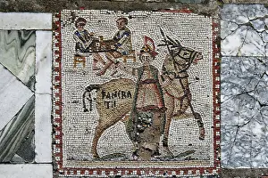 Aviary: Carthage