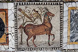 Aviary: Carthage