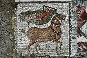 Aviary: Carthage