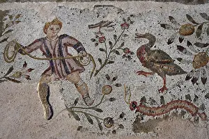 Aviary: Carthage