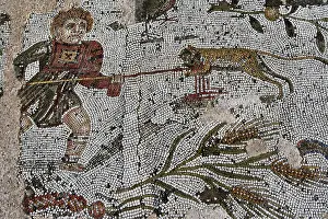 Aviary: Carthage