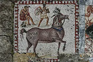 Aviary: Carthage