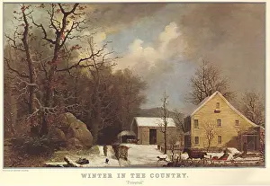 Carting: Carting Firewood