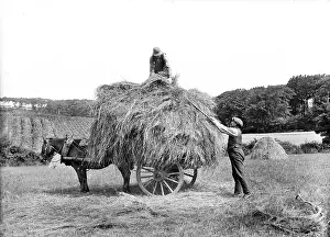 Onto: Carting Hay