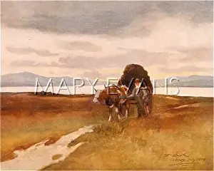 Carting: CARTING PEAT/ORKNEY