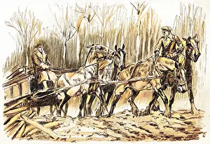 Carting: Carting timber on the Western Front, WW1