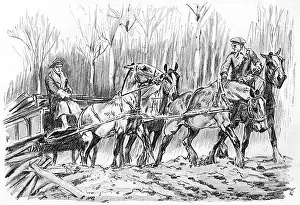 Carting: Carting timber on the Western Front, WW1