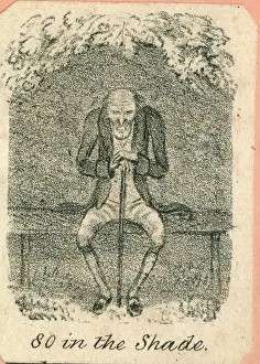 Shade: Cartoon, 80 in the Shade
