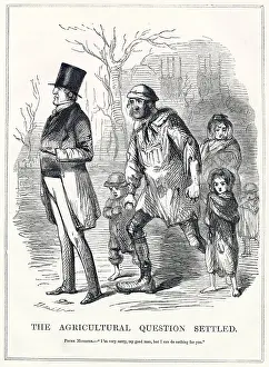 Ragged: Cartoon, The Agricultural Question Settled