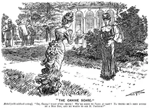 Spreads: Cartoon, The Canine Scare (Pasteur)