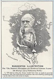 Anthropoid: Cartoon, Charles Darwin as a tree-climbing anthropoid