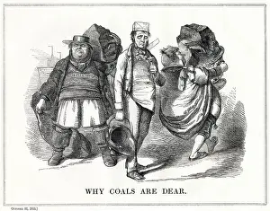 Ordinary: Cartoon, Why Coals Are Dear