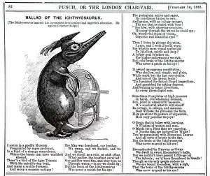 Popularity: A cartoon commenting on the popularity of reconstructions