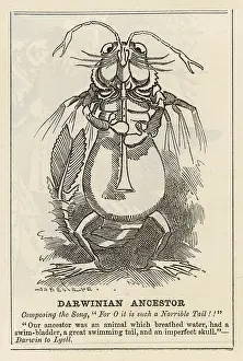 Lyell: Cartoon, Darwinian Ancestor