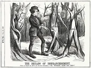 Conservatives: Cartoon, The Dryads of Disfranchisement